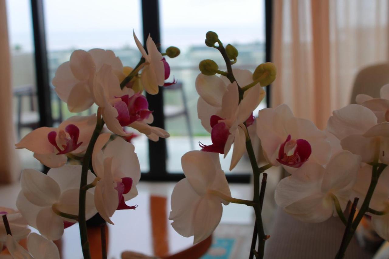Villa Ocean View And Apartment Da Nang "Free Pick Up" Exterior photo